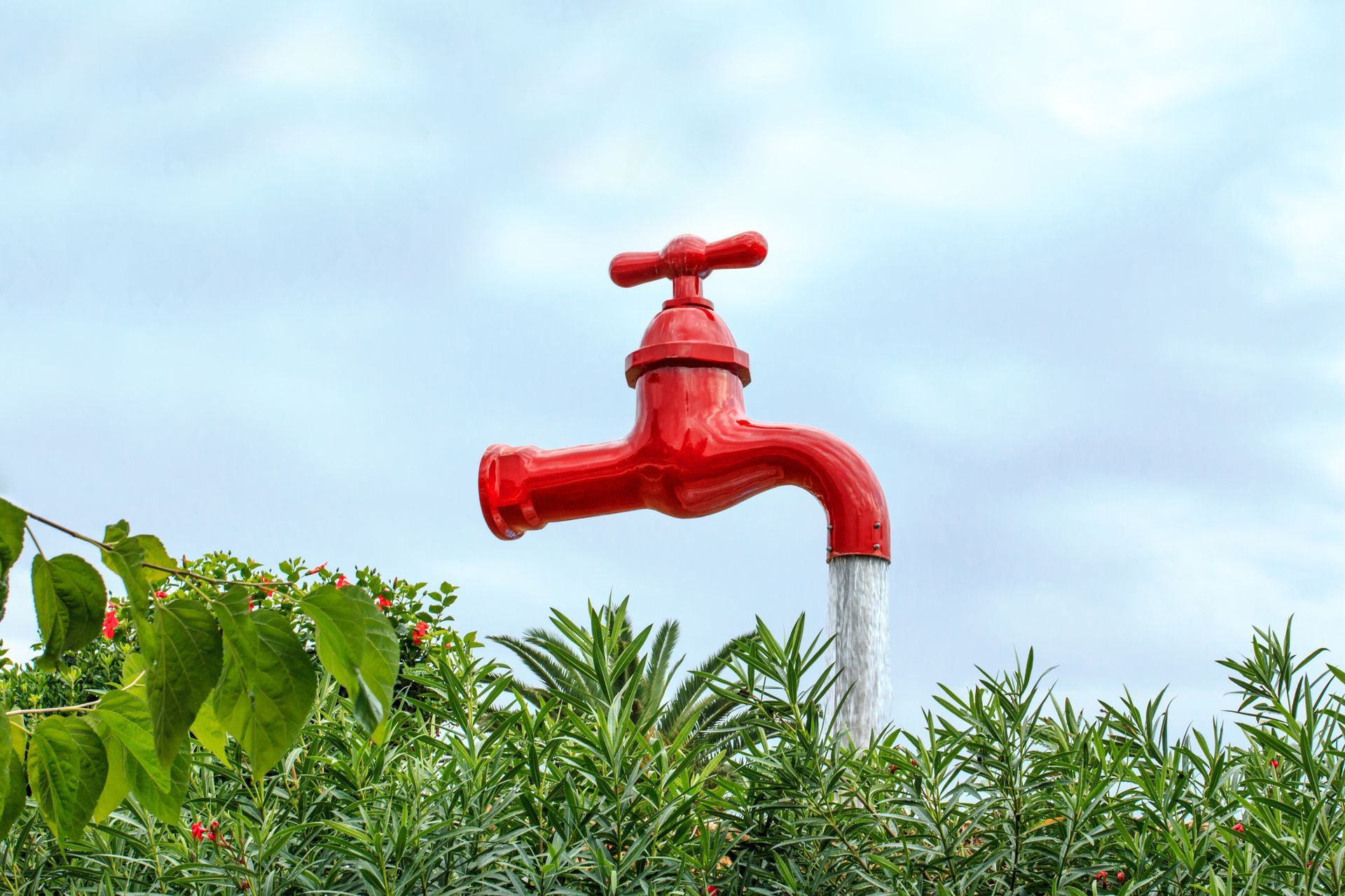 Unsupported tap/faucet watering the foliage beneath | Jones Drilling & Pump | Lebanon, OR