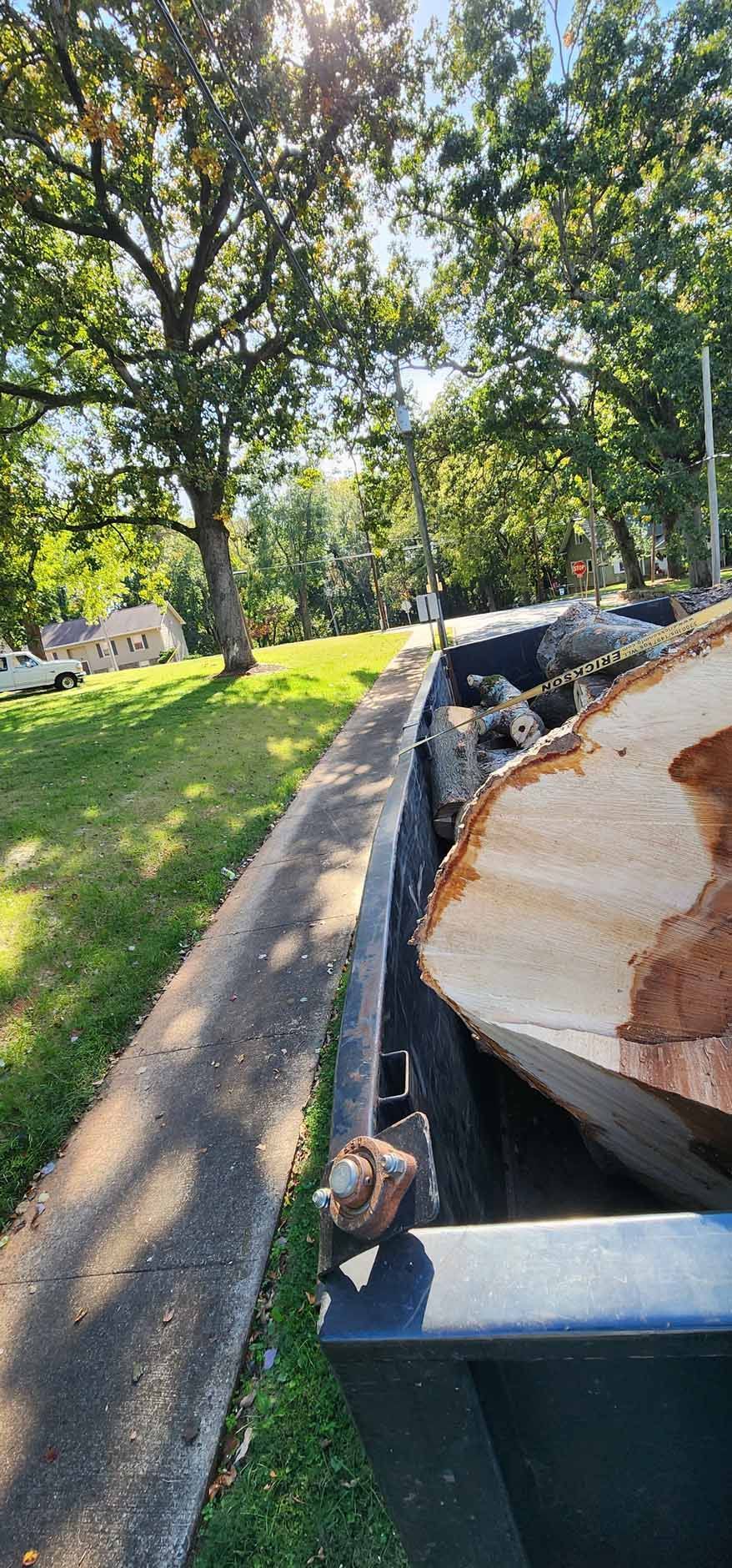 A truck bed filled with cut logs, next to a sidewalk and grassy area on a sunny day.