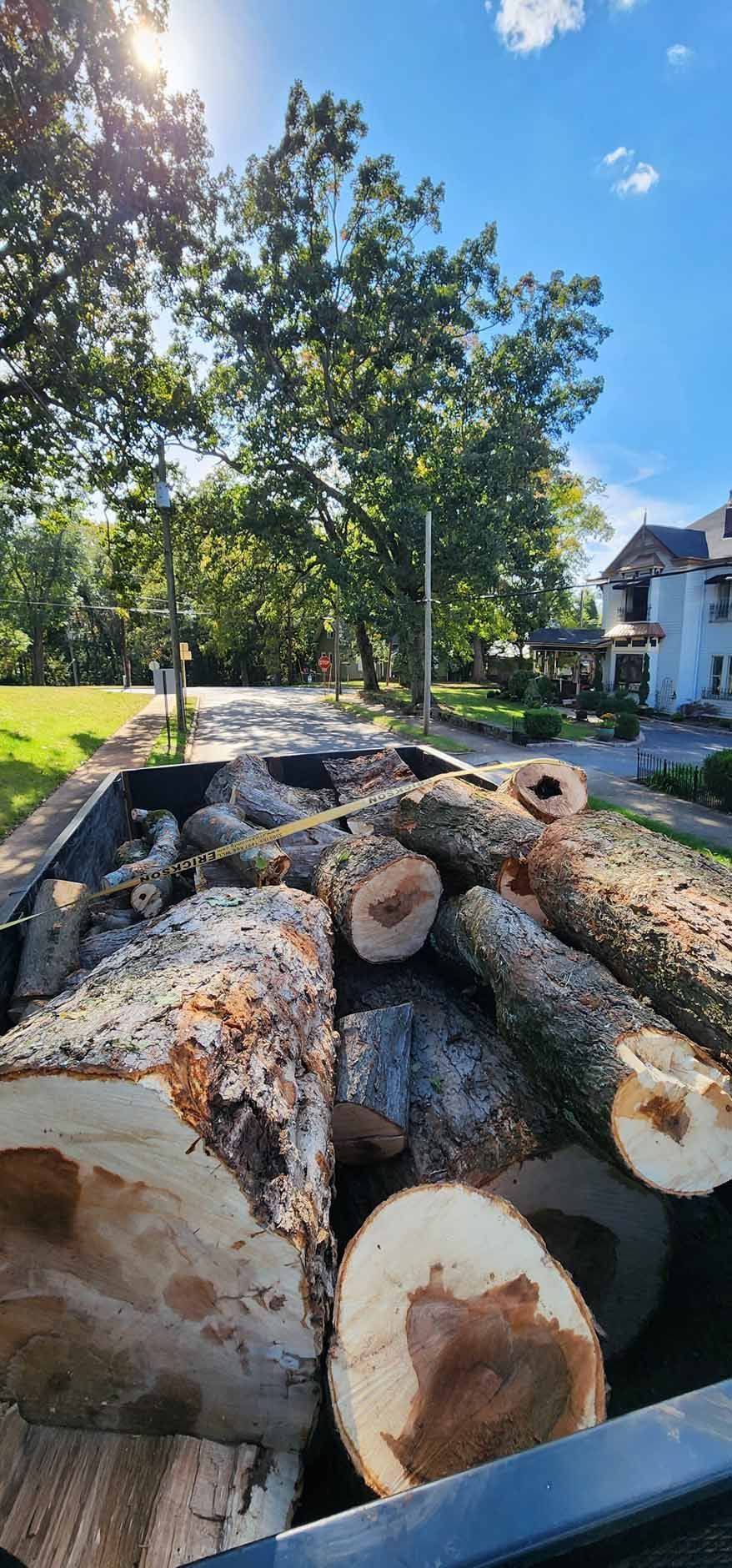 Logs in a truck bed, trees and a house in the background under a blue sky.