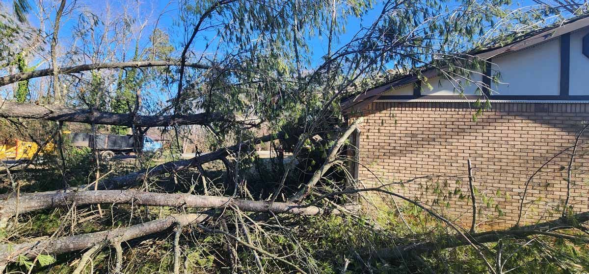 Fallen tree branches covering a brick house. Overcast blue sky in the background.