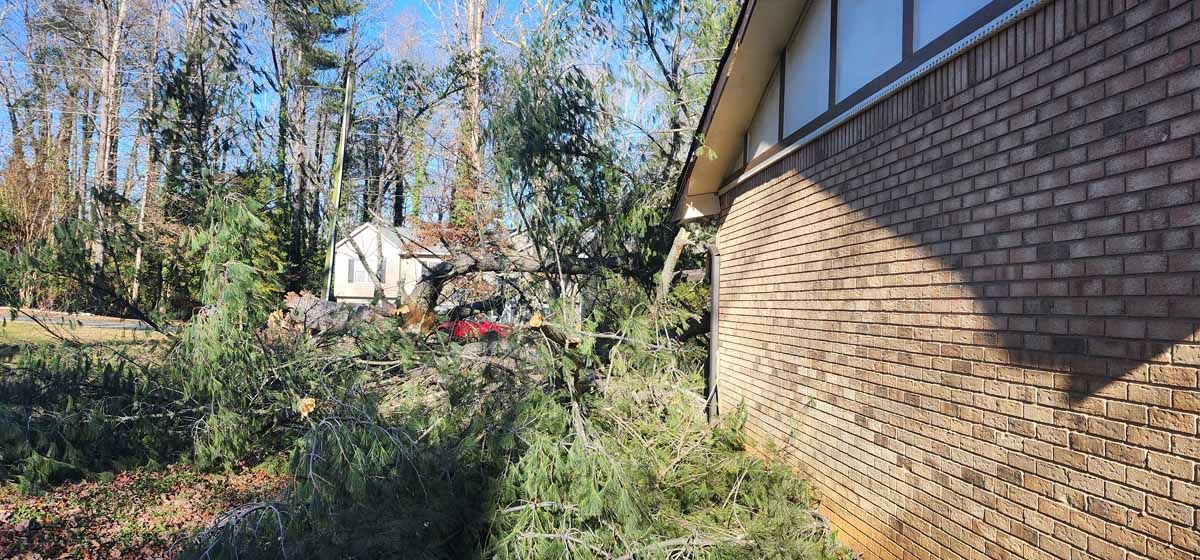 A brick building with trees and a blue sky.