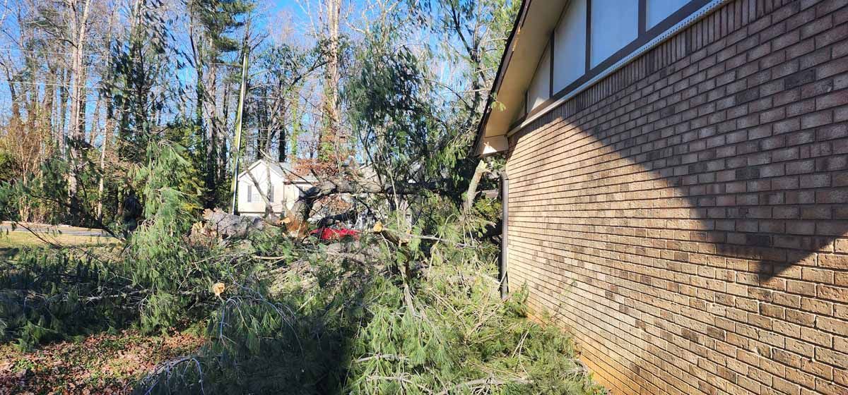 Debris and vegetation surround a brick building with a blue sky in the background.