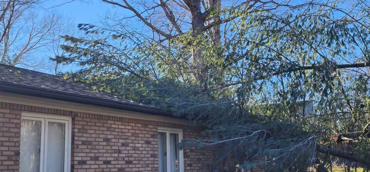 A brick building with a tree's branches overhanging the roof on a clear, sunny day.