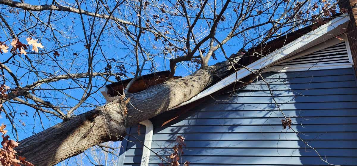 A tree trunk resting on the roof of a blue-sided house, beneath a clear blue sky.