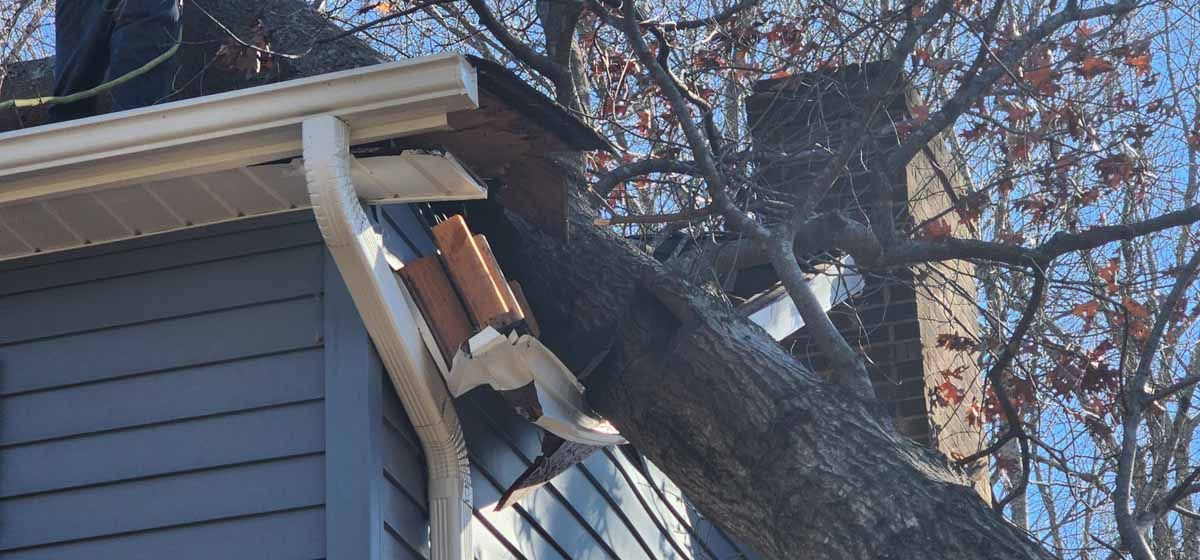A tree has damaged the roof and gutter of a blue-sided house.