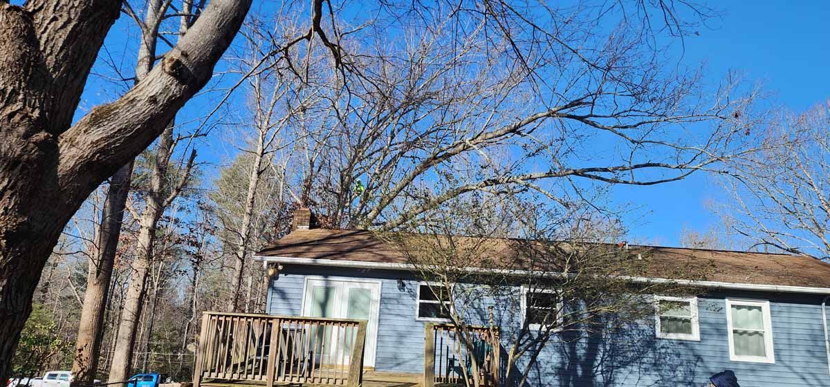 A blue house with bare trees against a clear blue sky. Wooden deck is visible in front.