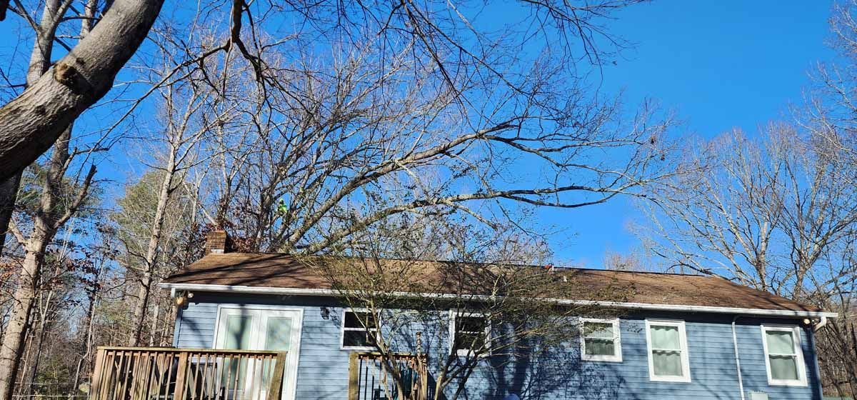 Blue house with brown roof under bare tree branches against a bright blue sky.