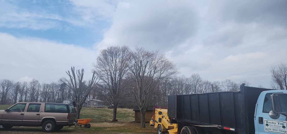 Brown SUV, black truck, and yellow machinery sit on a grassy field with trees under a cloudy sky.