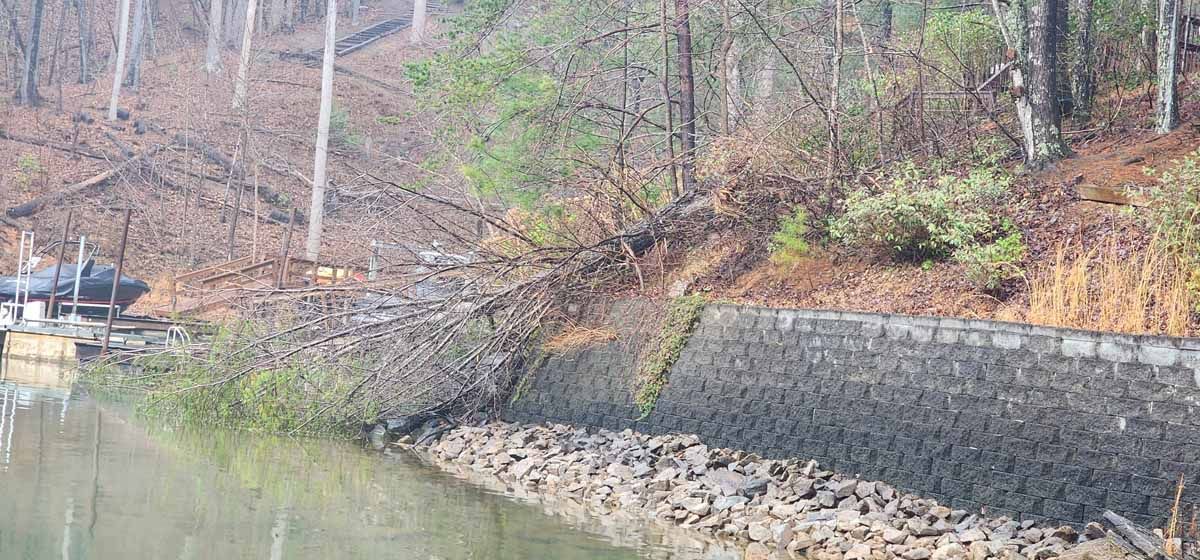 A waterside scene with a stone retaining wall, trees and a boat dock.