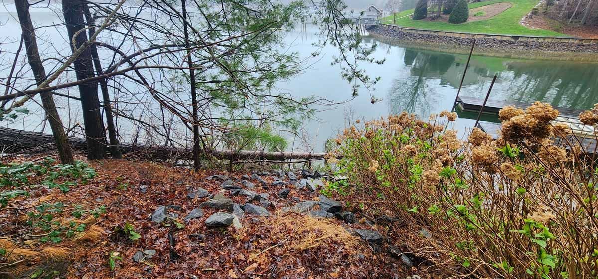 A serene lakeside scene with trees, fallen leaves, and weathered plants, evoking a misty autumn day.