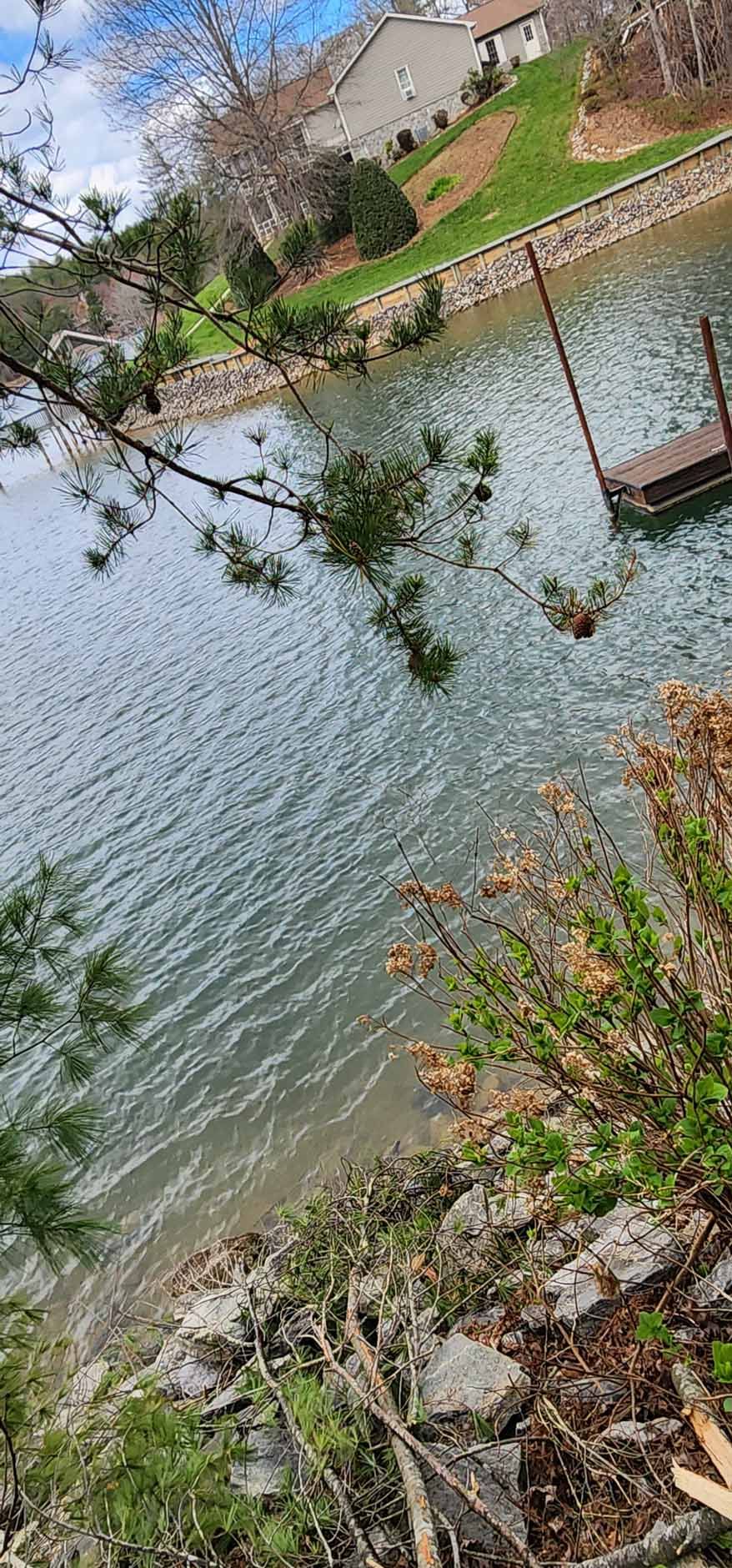 A waterfront scene with a dock, water, trees, and houses in the background.