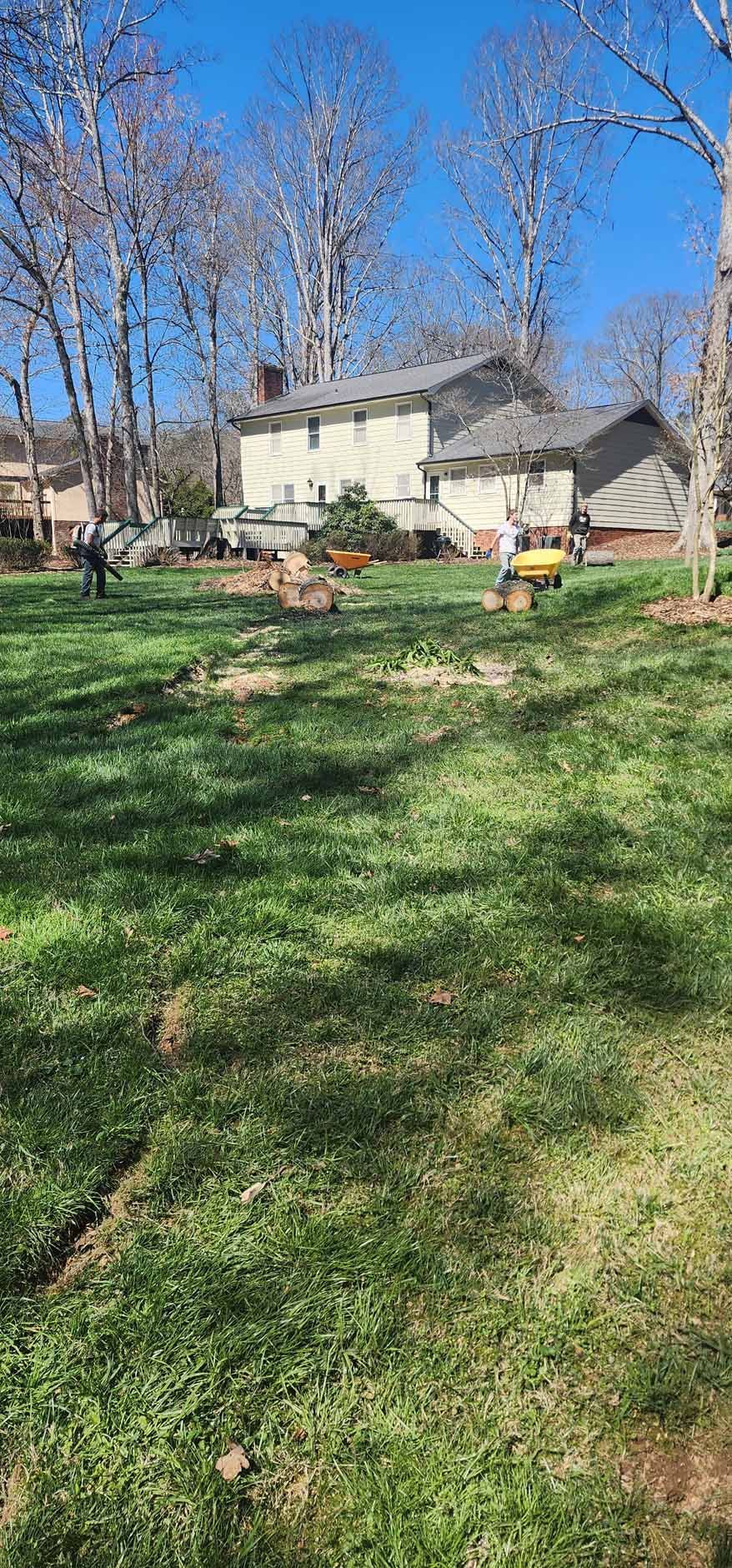 A grassy backyard with a house and bare trees under a blue sky.