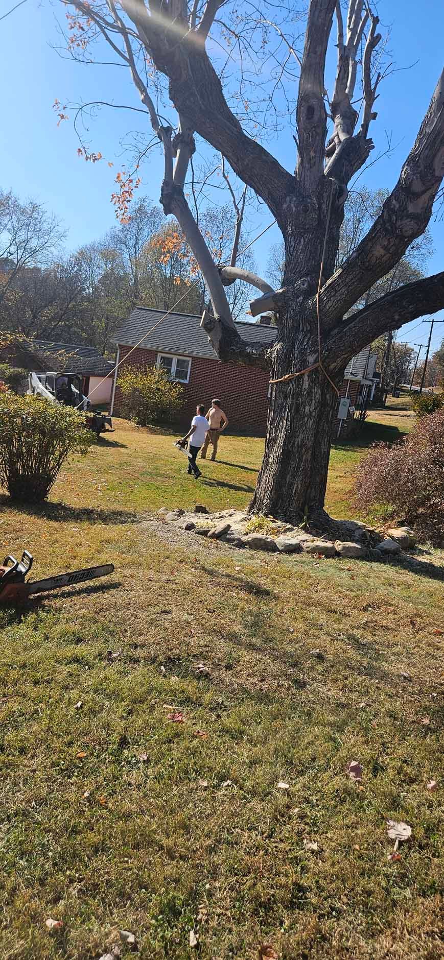 Two people in a yard, near a tree and house, sunny day.