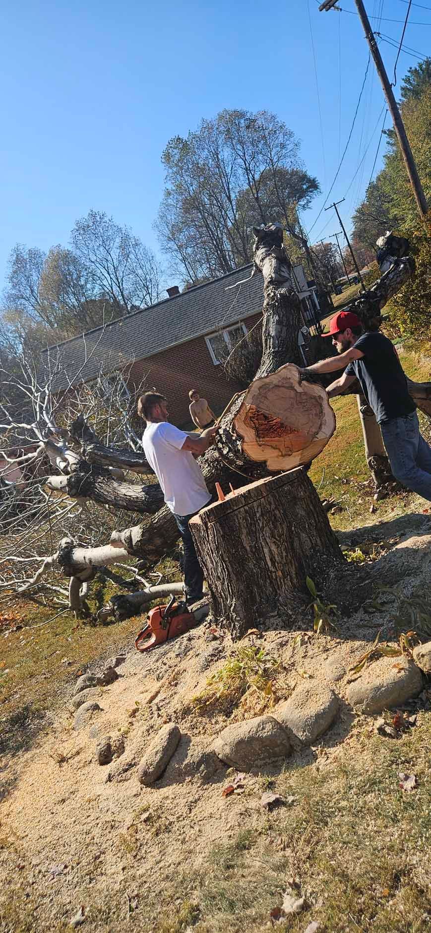 Two men sawing a large log outdoors; blue sky. One man wears a red hat. Sawdust around the base.