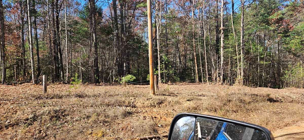 Dirt path with trees and utility pole. A vehicle side mirror is in the foreground.