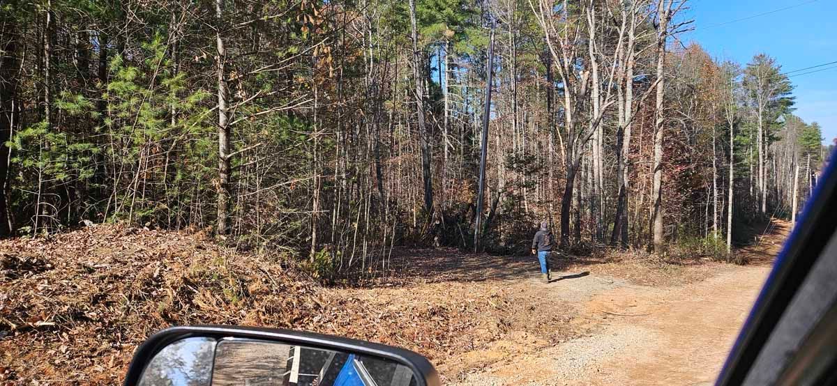 A person standing on a dirt road in front of a forest.