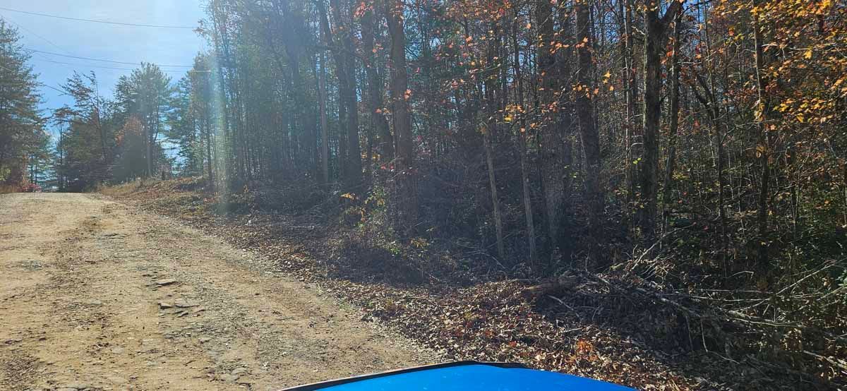 A dirt road leading toward a forest with autumn colored trees.