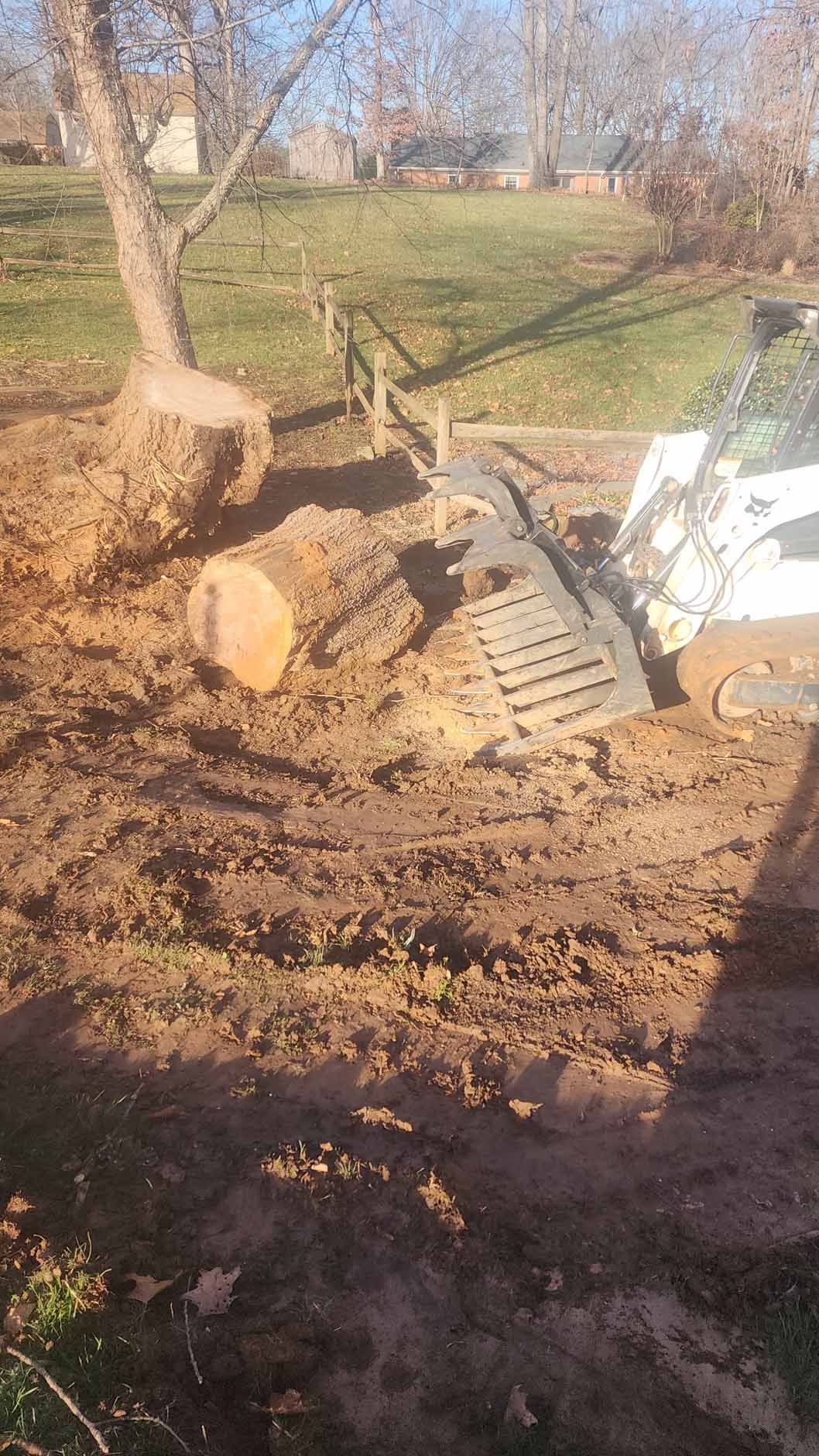 A small excavator digging dirt near a felled tree trunk in a yard.