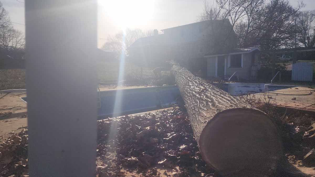 A felled tree trunk with sunlight streaming, near a fence and building.