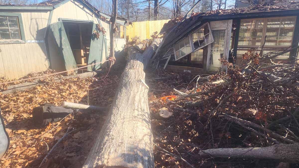 Log cut through a debris-filled backyard with weathered structures and fallen leaves.