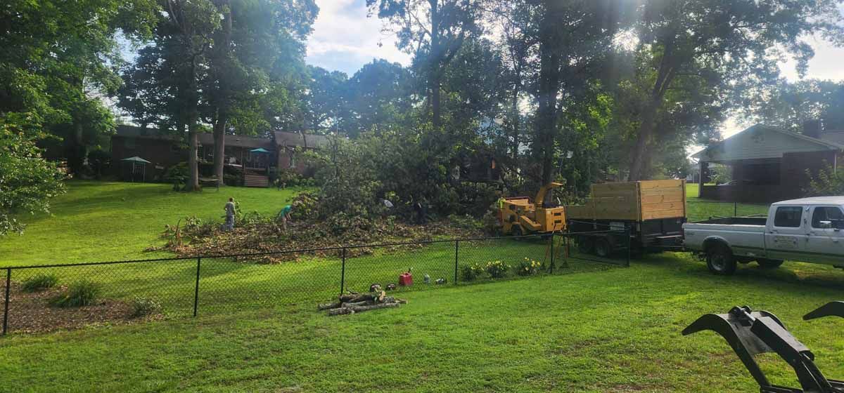 A tree being cut down in a grassy yard with a bulldozer and truck.