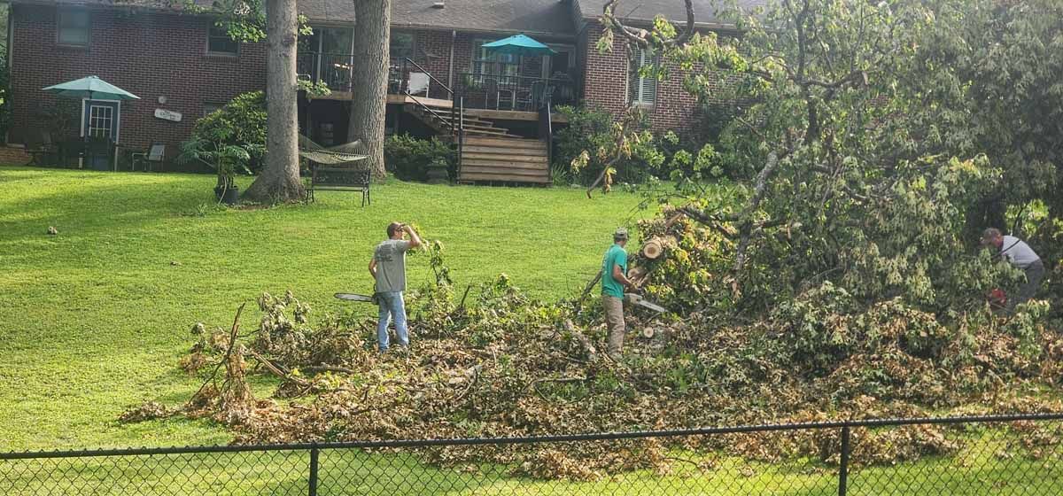 Three people are clearing tree debris from a lawn in front of a house.
