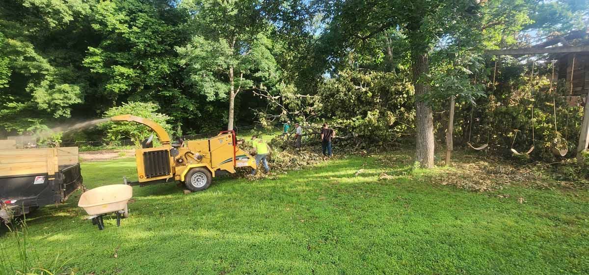 A wood chipper machine processes branches into mulch while workers in a grassy yard are near trees.