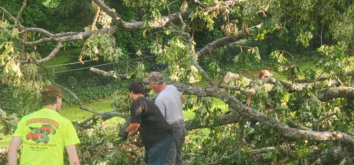 Three men working to remove a large tree branch. One is wearing a yellow shirt.