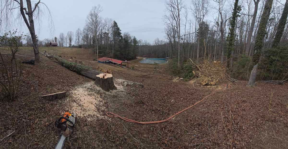 A chainsaw on the ground cuts a fallen tree in a wooded area, sawdust visible.
