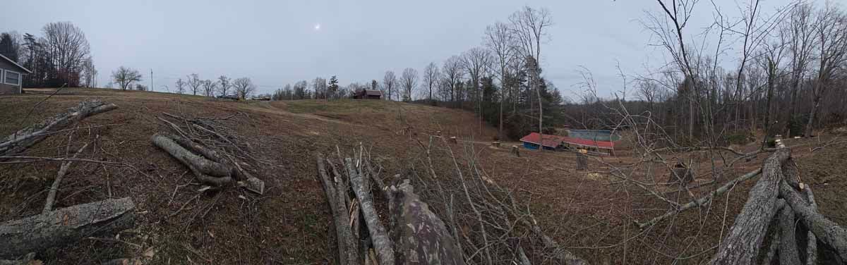 A deforested area with felled trees and a brown field under an overcast sky.