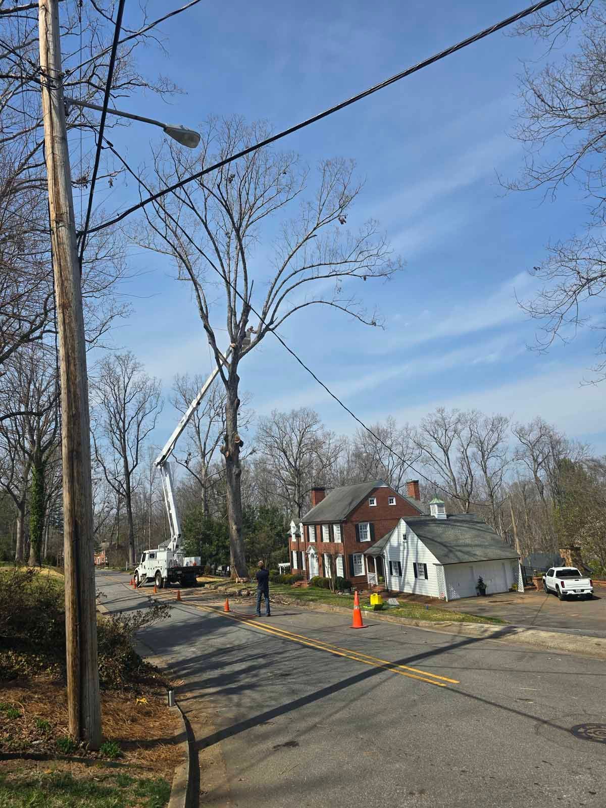 Tree trimming with an aerial lift near a house and road under a partly cloudy blue sky.