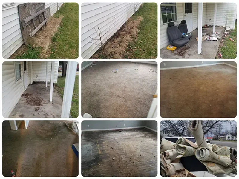 Nine photos showing exterior and interior damage, including a porch, dirty carpet, and debris.