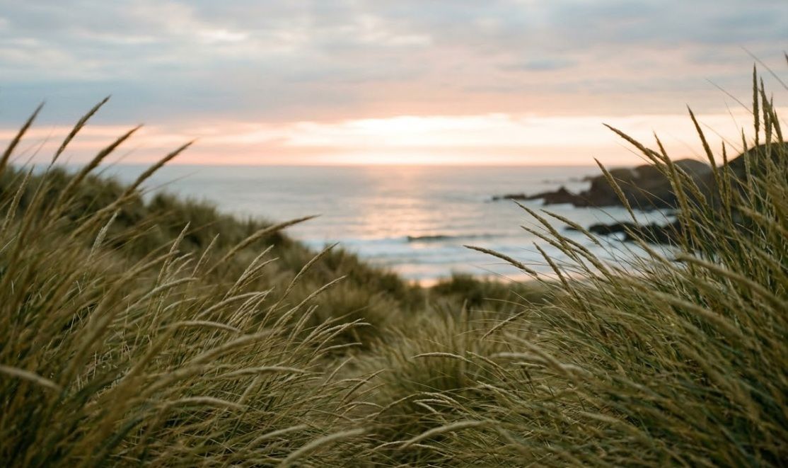 Coastal grasses overlooking ocean at sunset, cremation services in Colchester, VT