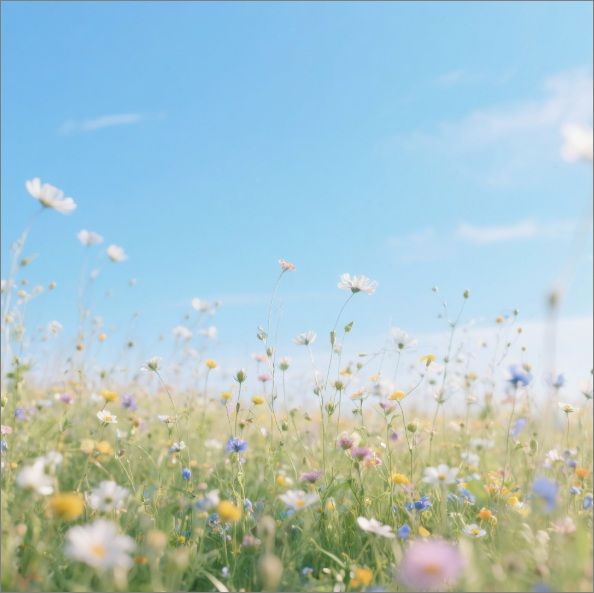 funeral homes in Winooski, VT