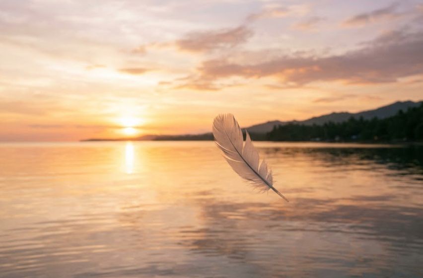 Single feather drifting over calm water at sunset, funeral homes in Winooski VT