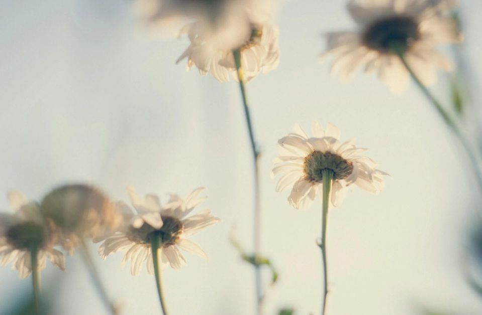 funeral homes in Winooski, VT
