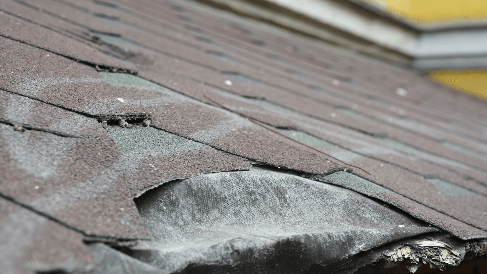 Roof Repair Orlando, FL 4075677856