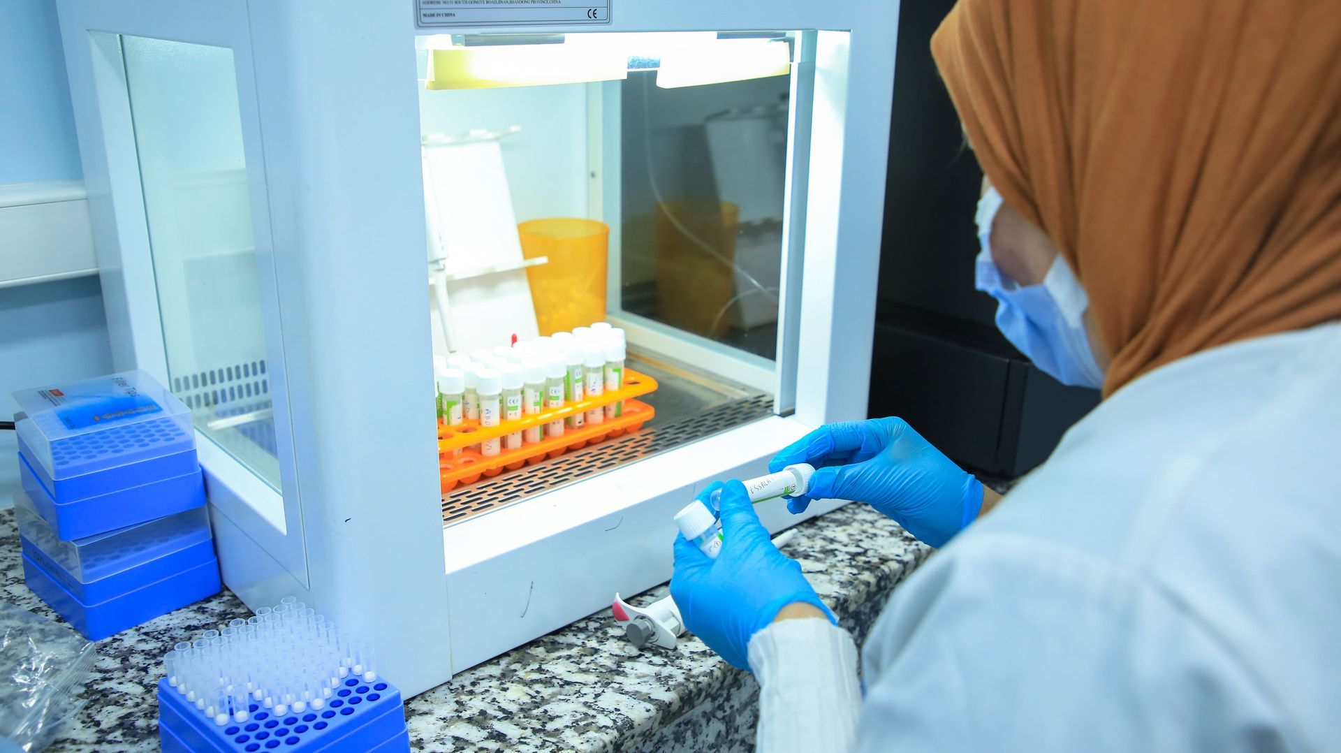 IMMUNOLOGIE,  laboratoire alkawthar à témara