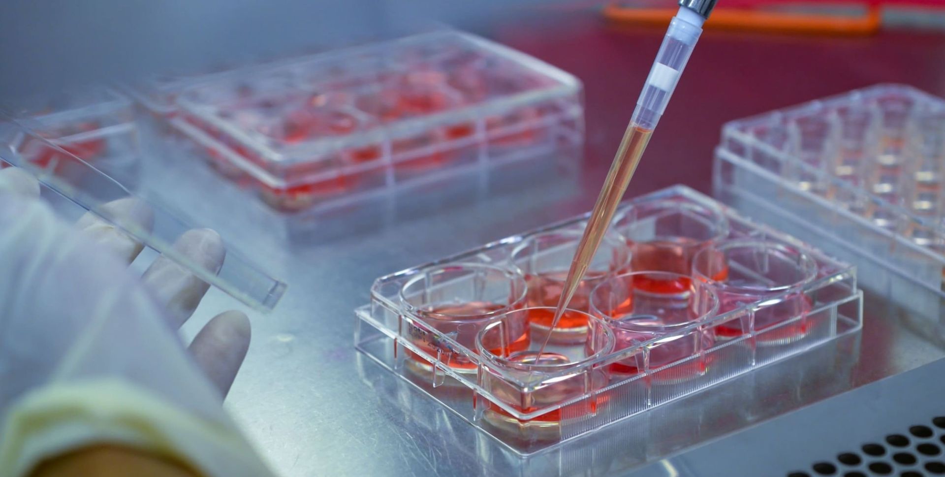 sérologie, laboratoire alkawthar à témara