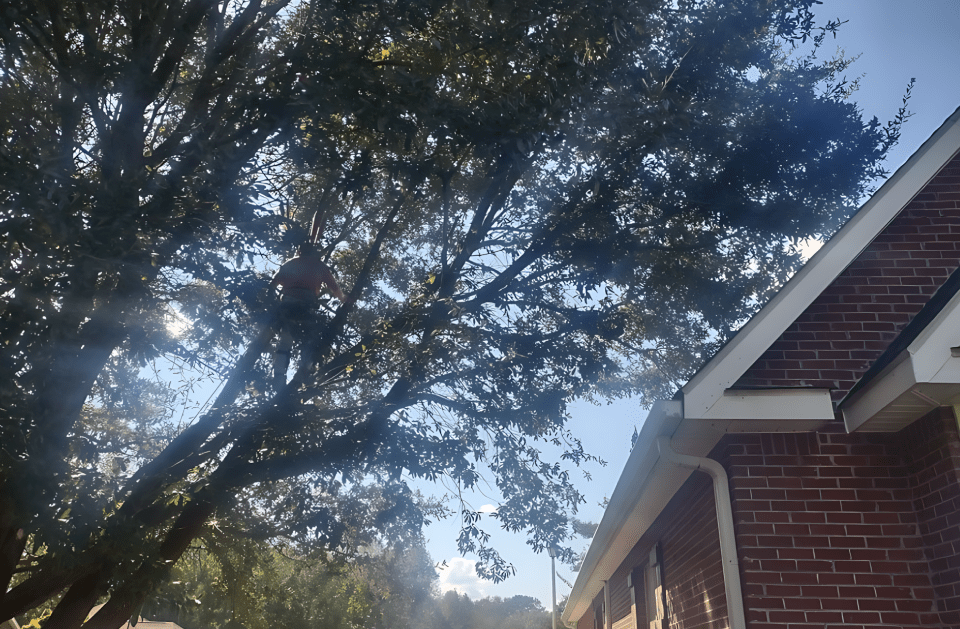 A brick house with a tree in front of it