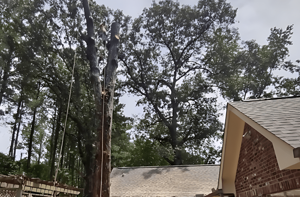 A tree is being cut down in front of a brick house