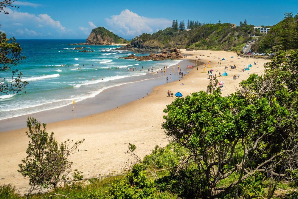 A Beach With a Lot of People on It and Trees in the Foreground — Stitch 2340 In Port Macquarie, NSW