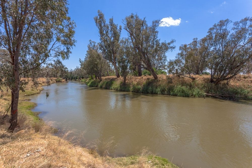 A River Surrounded by Trees and Grass on a Sunny Day — Stitch 2340 In Gunnedah, NSW