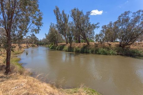 A River Surrounded by Trees and Grass on a Sunny Day — Stitch 2340 In Gunnedah, NSW