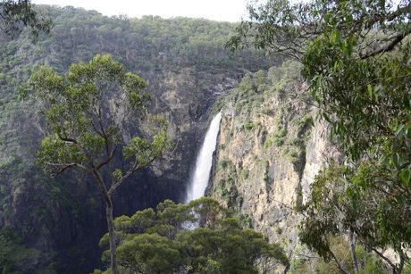 A Waterfall is Surrounded by Trees and Cliffs in the Middle of a Forest — Stitch 2340 In Armidale, NSW