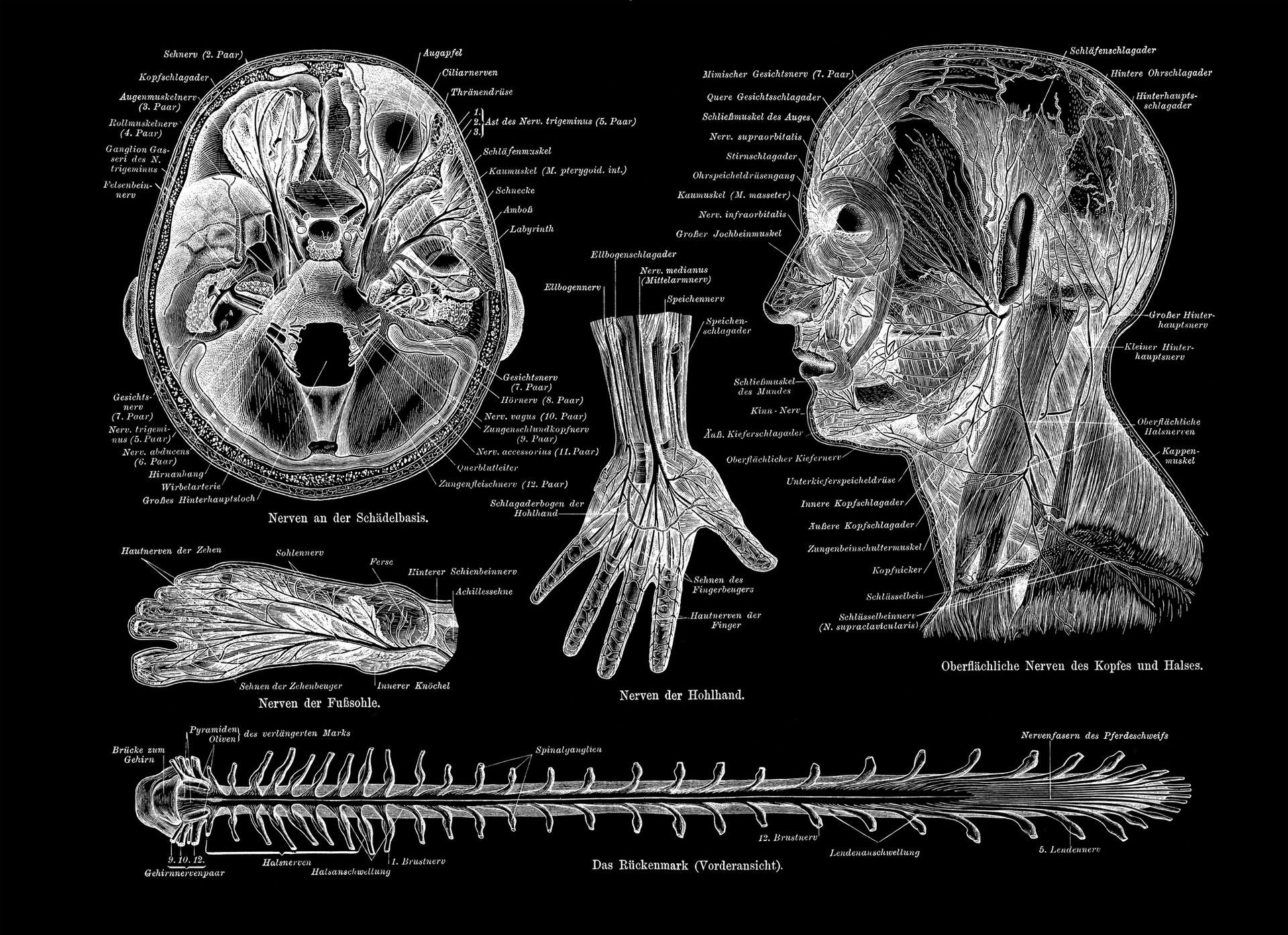 A man is examining a woman's foot on a treadmill — Monroe, LA — Coleman Chiropractic Clinic