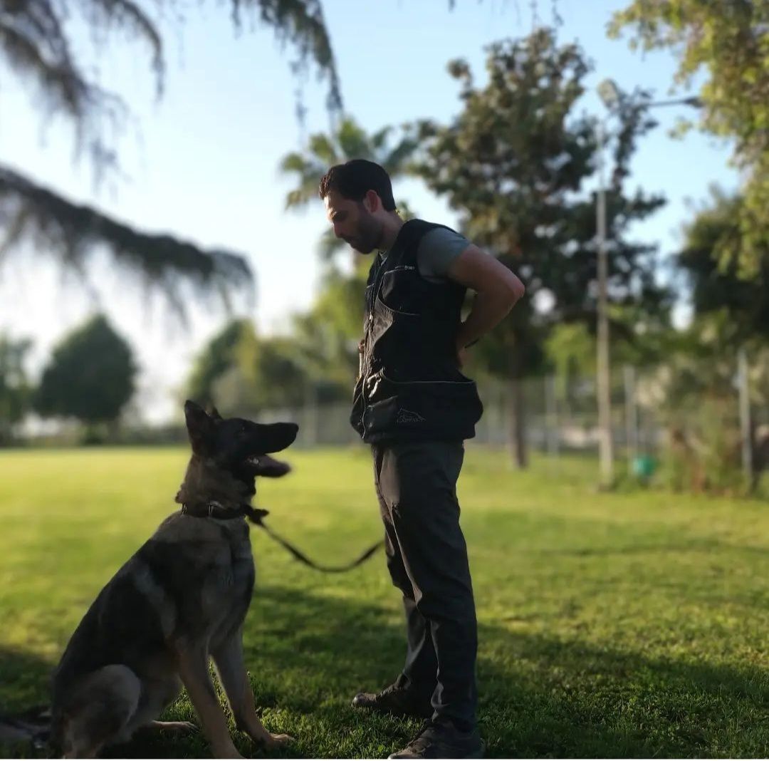 Un uomo con un pastore tedesco al guinzaglio in un parco. Il cane è seduto e guarda l'uomo.