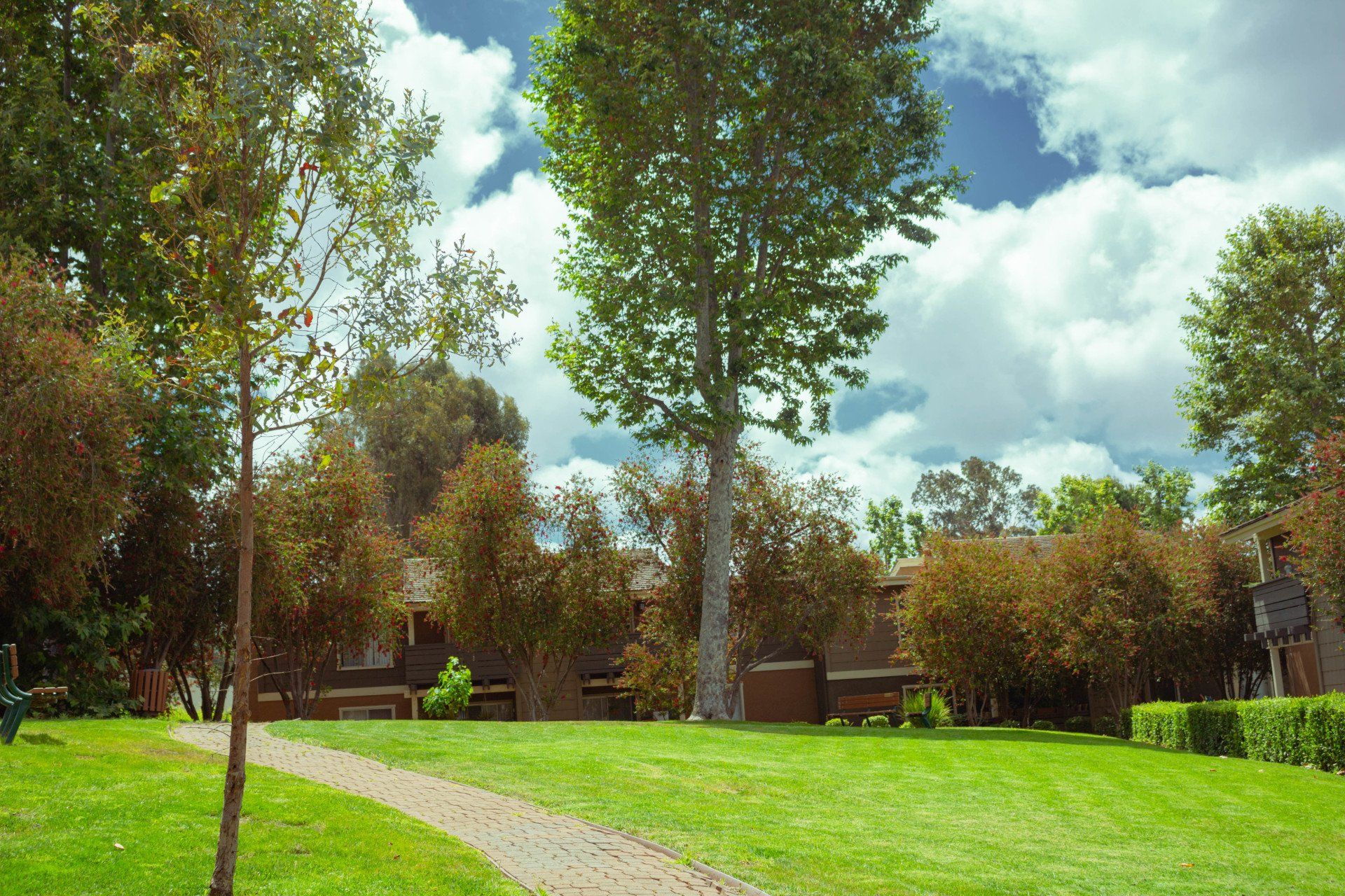 Exterior | Canyon Woods Apartments