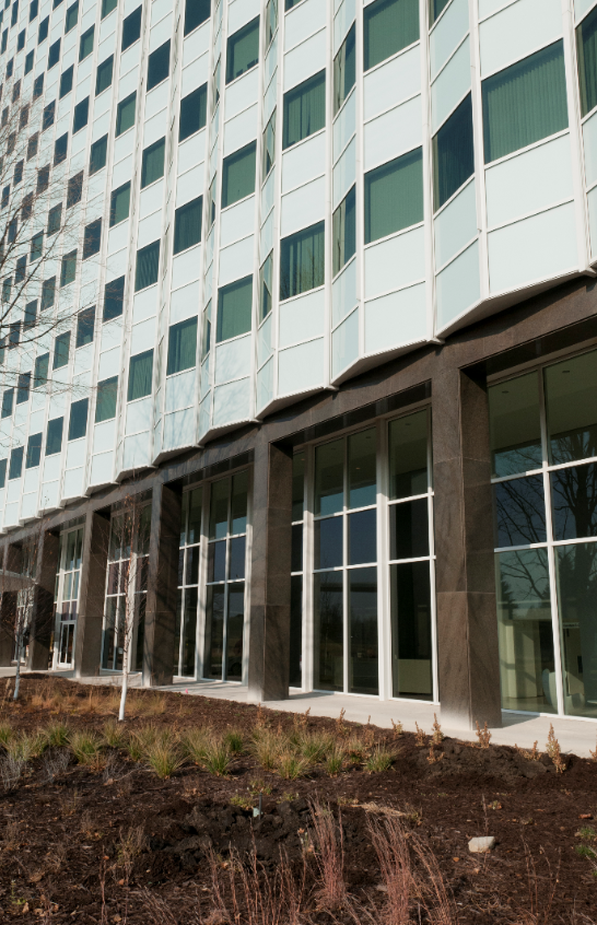 sun control window film