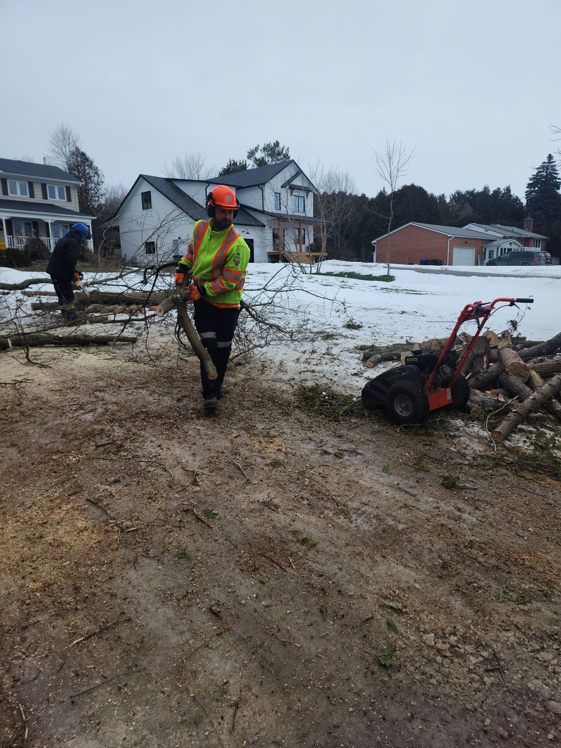 A man clearning branches